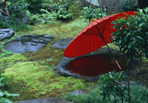 Sombrinha Japonesa - wagasa