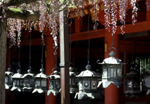Kasuga Taisha - Jap&atilde;o