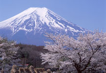 Monte Fuji