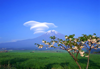 Monte Fuji