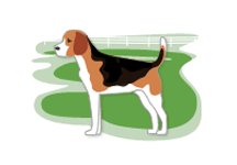 Animal Quarantine Service